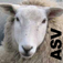 Psalm Daily Quotes ASV - Systems of Merritt, Inc.