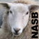 Psalm Daily Quotes NASB - Systems of Merritt, Inc.