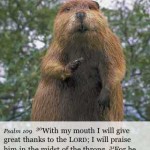 give thanks to the Lord give thanks to the Lord