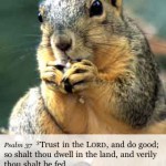 Trust in the Lord Trust in the Lord