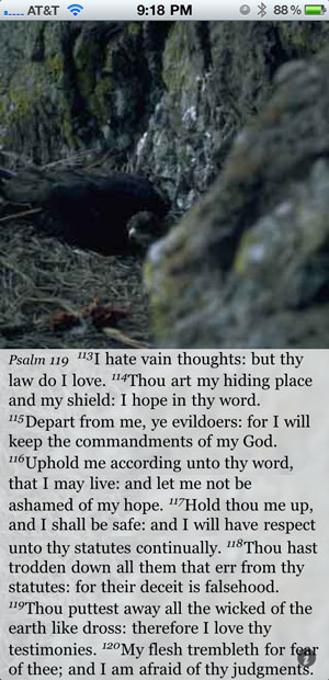 Psalm 119 105 Kjv