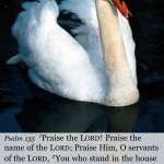 Praise the Lord!