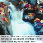 pure water