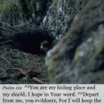 hiding place