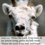 Psalm NIV