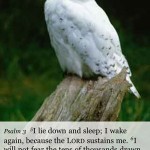 Psalm NIV