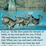 Psalm NIV