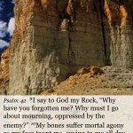 Psalm NIV Psalm NIV