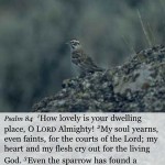 Psalm NIV