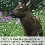 Spurgeon Quote Spurgeon Quote