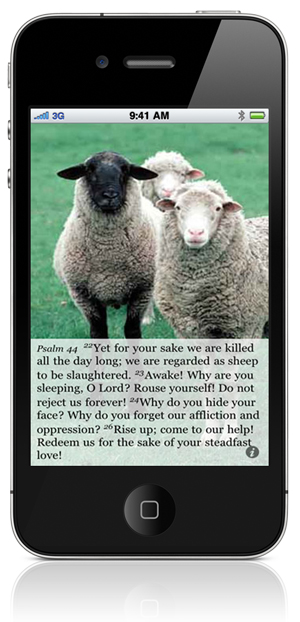 Psalm 44:22 Yet for your sake we are killed all the day long; we are regarded as sheep to be slaughtered. 23 Awake! Why are you sleeping, O Lord? Rouse yourself! Do not reject us forever! 24 Why do you hide your face? Why do you forget our affliction and oppression? 26 Rise up; come to our help! Redeem us for the sake of your steadfast love!