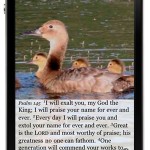 NIV014i