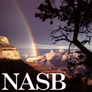 NASB512