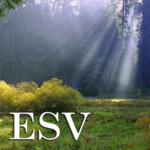 ESV512