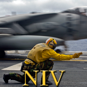 NIV Navy