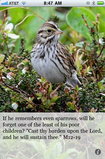 If he remembers even sparrows, will he forget one of the least of his poor children? "Cast thy burden upon the Lord, and he will sustain thee." M12-19