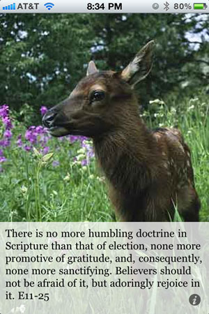 There is no more humbling doctrine in Scripture than that of election, none more promotive of gratitude, and, consequently, none more sanctifying. Believers should not be afraid of it, but adoringly rejoice in it. E11-25