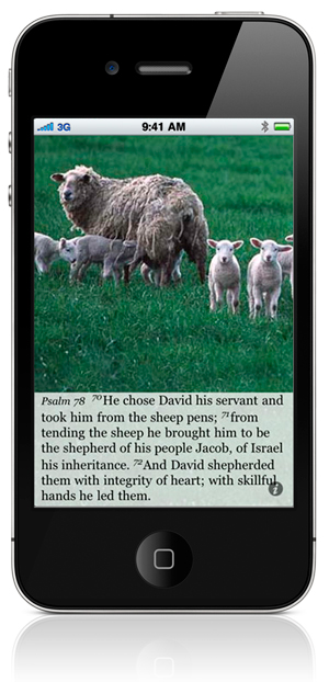 Psalm 78:70 He chose David his servant and took him from the sheep pens; 71 from tending the sheep he brought him to be the shepherd of his people Jacob, of Israel his inheritance. 72 And David shepherded them with integrity of heart; with skillful hands he led them.