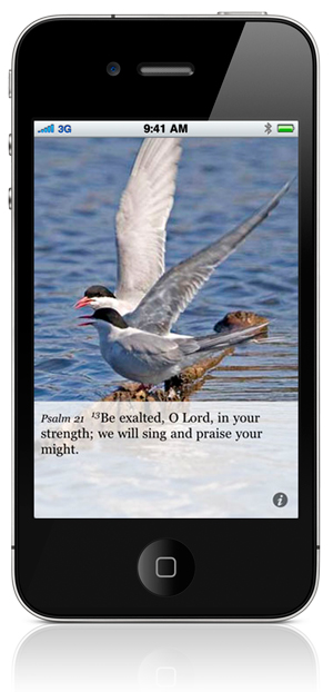 Psalm 21:13 Be exalted, O Lord, in your strength; we will sing and praise your might.