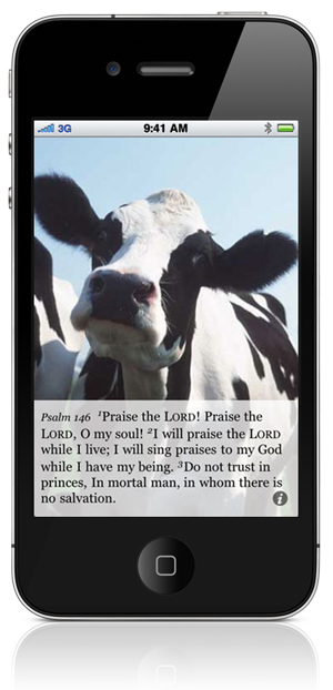 Psalm 146:1 Praise the LORD! Praise the LORD, O my soul! 2 I will praise the LORD while I live; I will sing praises to my God while I have my being. 3 Do not trust in princes, In mortal man, in whom there is no salvation.